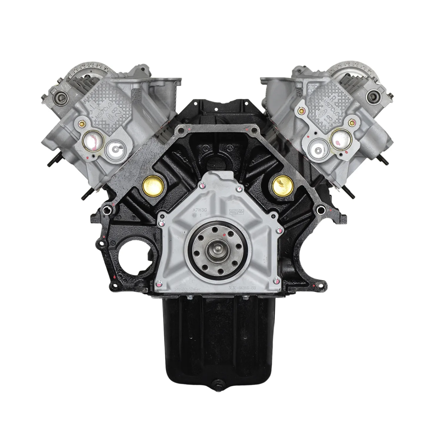 6.0 LS engine on branded inspection stand