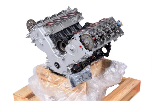 Ford 5.4L V8 2002-2005 F-250/ F-350 Super Duty SOHC 2 Valve Vin L intake manifold and throttle body detail