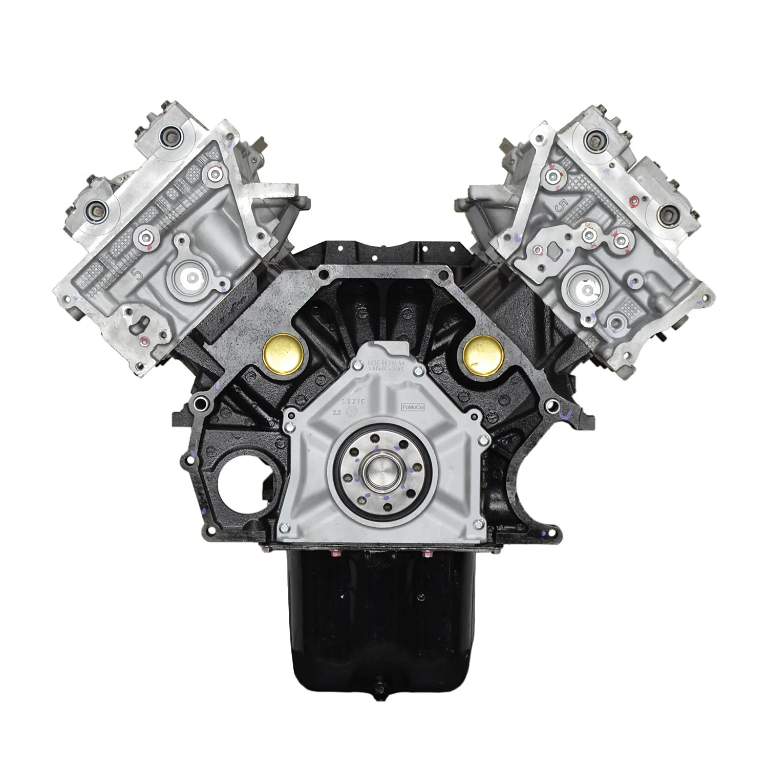 6.0 LS engine on branded inspection stand