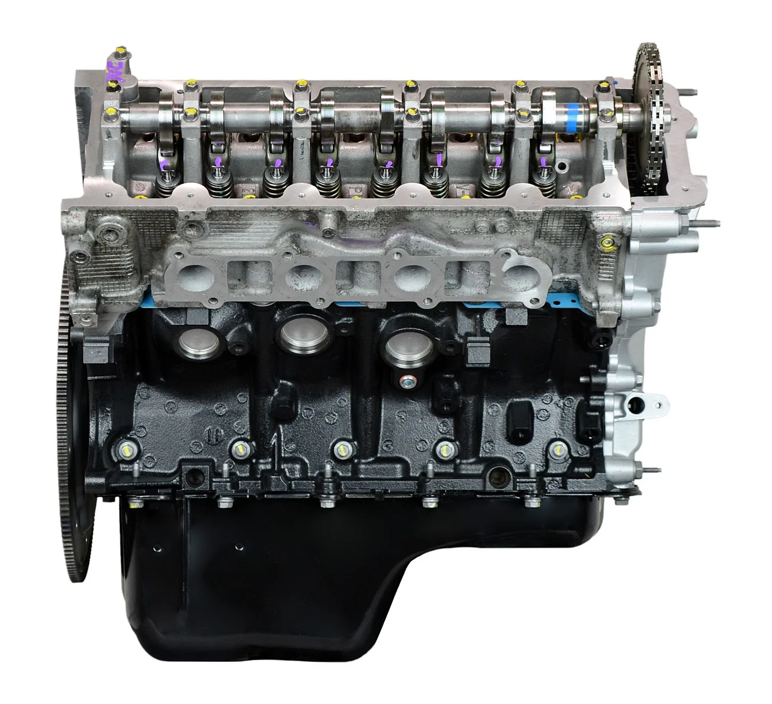 6.0 LS engine on branded inspection stand