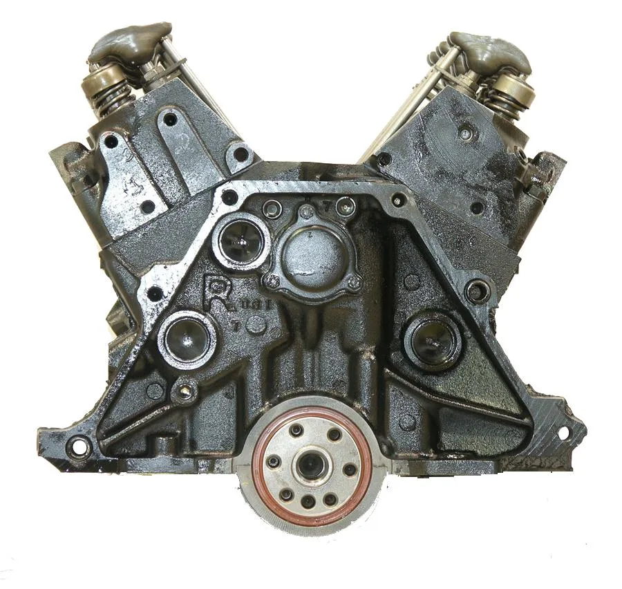 6.0 LS engine on branded inspection stand