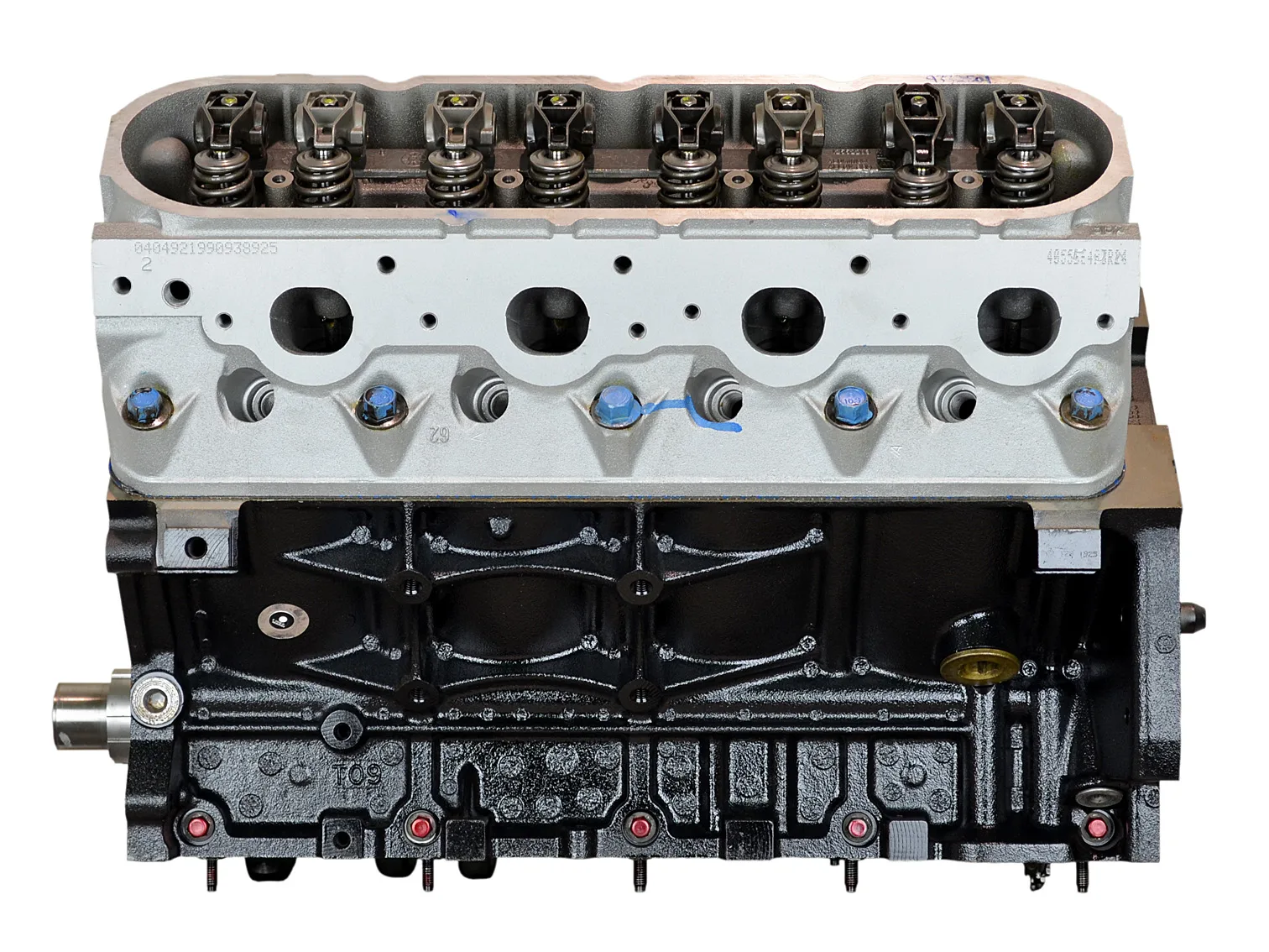 Chevy 4.8L LS V8 intake manifold and throttle body detail