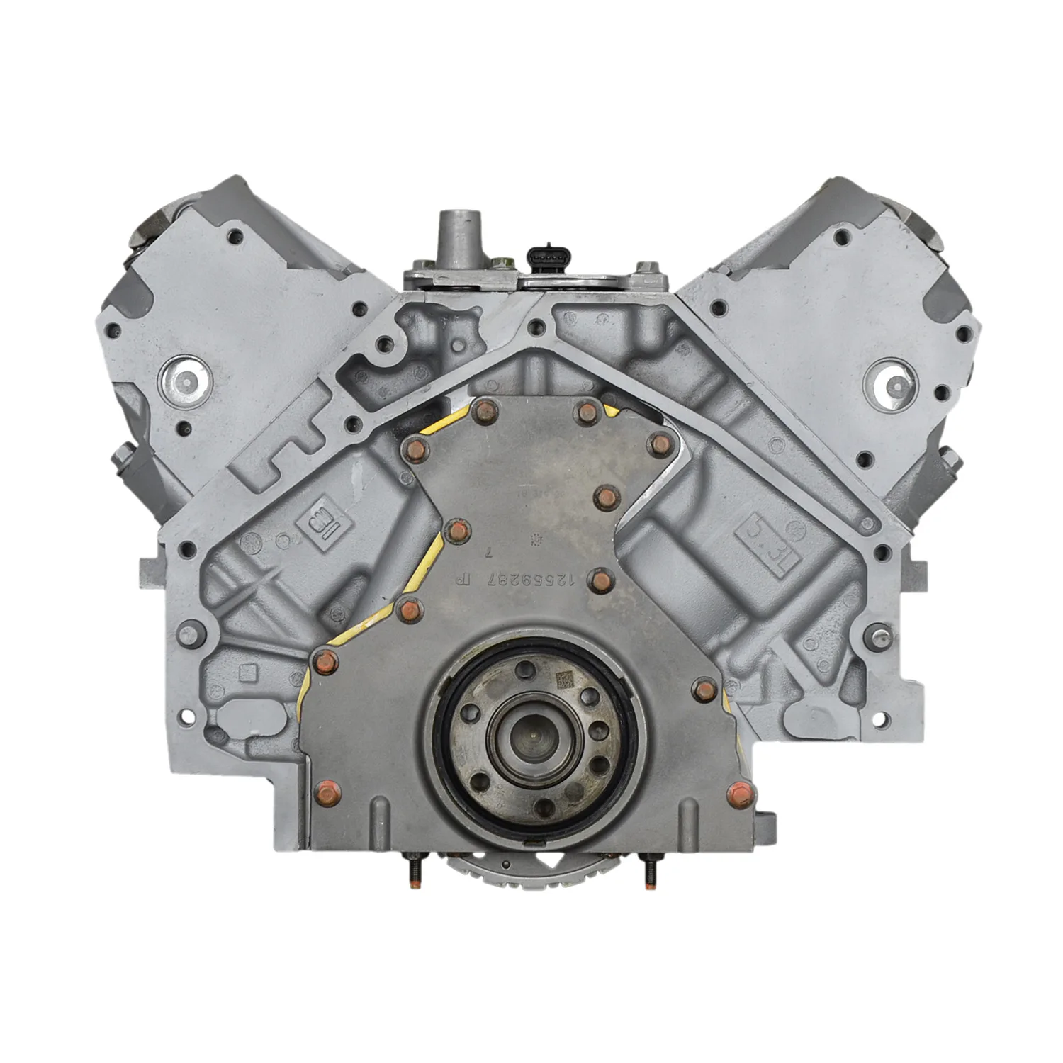 6.0 LS engine on branded inspection stand